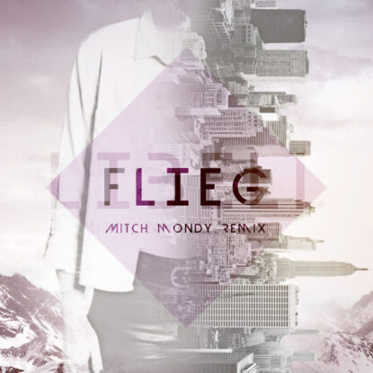 Flieg_Remix_Cover
